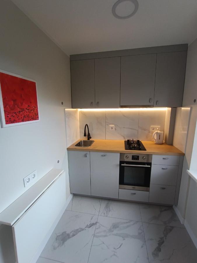 Dariaus Ir Gireno 6 Apartments Βίλνιους Εξωτερικό φωτογραφία
